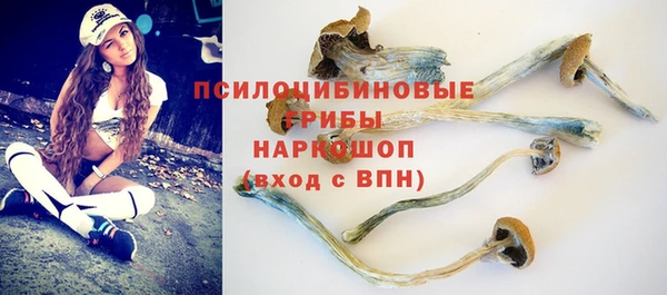jwh Тайга