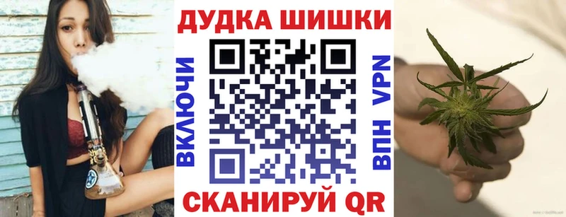 Бошки Шишки план  Тырныауз 